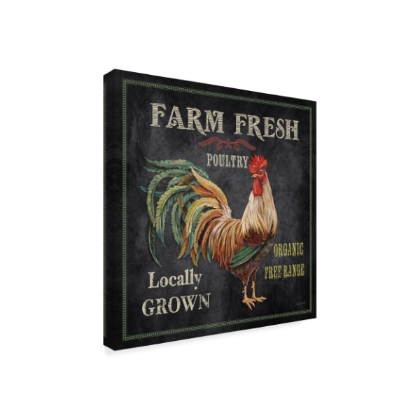 Jean Plout 'Farm Fresh Rooster' Canvas Art,24x24